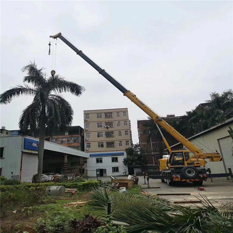 天长汽车吊出租多少钱？全面解析与市场行情